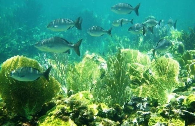 Savannah Sunset 3 Bedroom Home - Foto 15