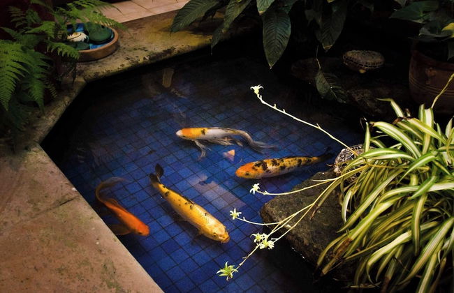 Marina Vallarta Casa Gallos - Foto 38