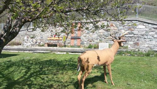 The Green Owl - Foto 4