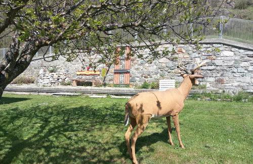 The Green Owl - Foto 4