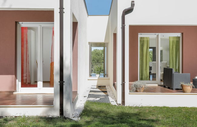 Forest Fairy - Foto 11