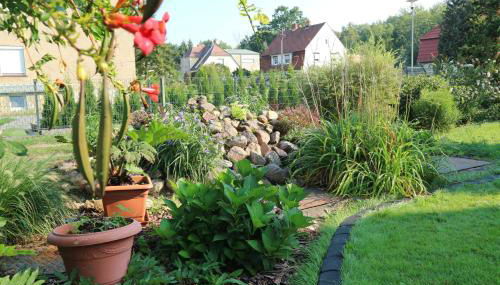 Big Mama's Home - Foto 4, Garden