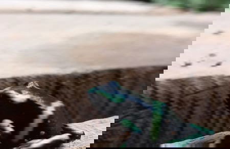 Cabaña el Ermitaño - Foto 15