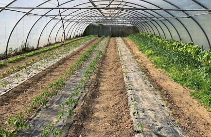 Agroturismo Urresti - Foto 59