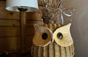 Zdzisiówka - Foto 23