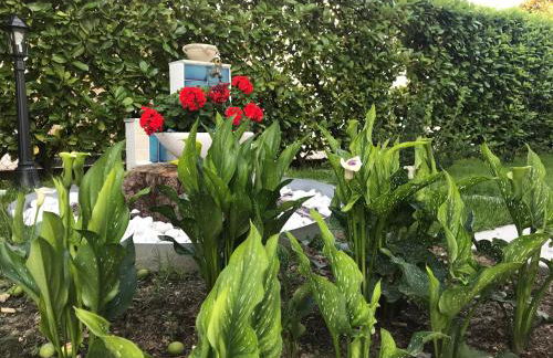 VECCHIA FAVOLA HOUSE - Foto 68