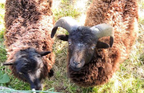 Bienvenue à La Sélinière ! - Foto 19