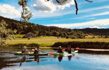 Holiday house "Mimoza" 2 massage pools - Foto 76