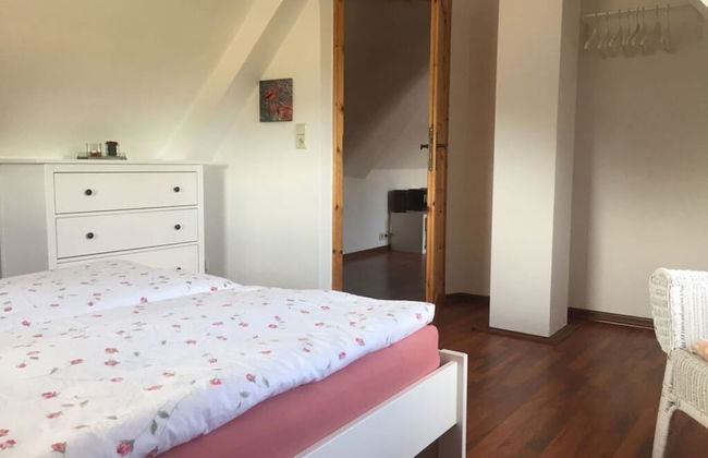 Farsighted Modern Retreat - Photo 4