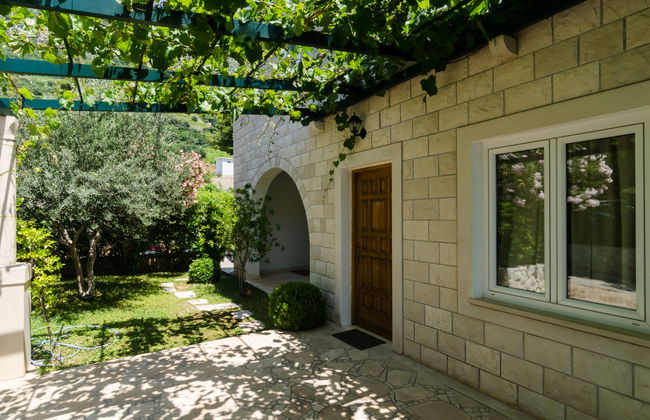 Plavac Mali - Foto 23