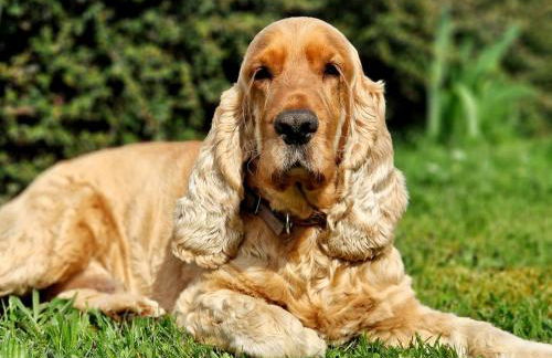 Ferienhaus Schilz - Foto 31