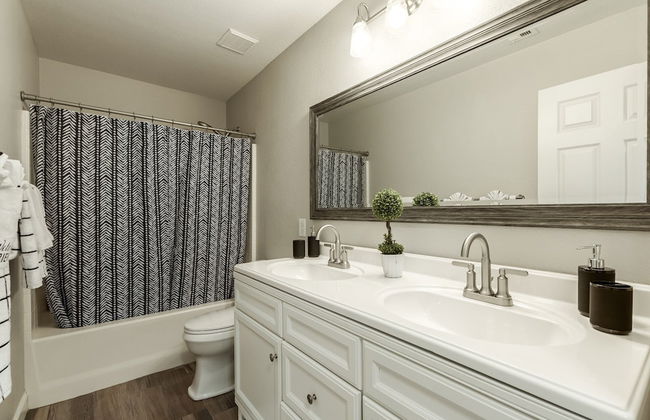 The Golden Cactus Phoenix - Photo 29