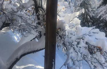 CHALET FAMILIAL AURON - Foto 5