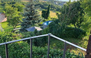 Aneta authentic Istrian House with pool & garden - Pet Friendly - Photo 33