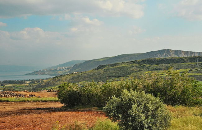 Mul Kineret Suites - Photo 50