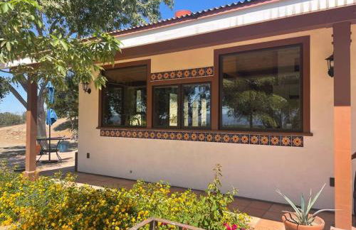 Hilltop Vineyard and Agave Field with View - Photo 5