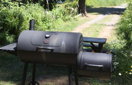 Cedar at Rainier Lodge (0.4 m from Mt.Rainier) - Photo 22