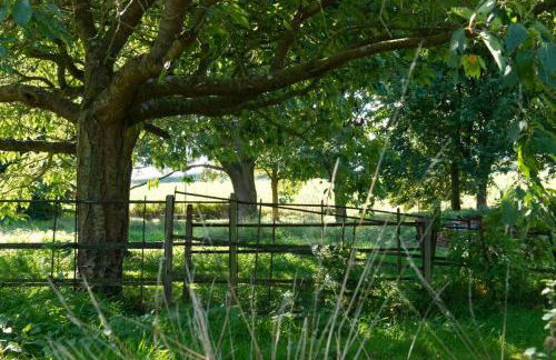 Deepwell Granary is a lovely thatched barn with attached meadow woodland - Foto 15