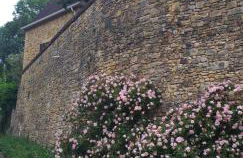 Le Baron Perché - Foto 44