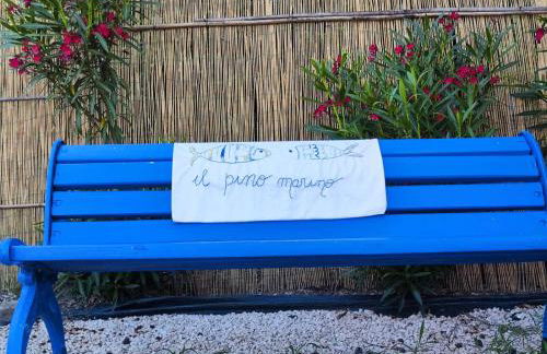 Pino Marino - Foto 30