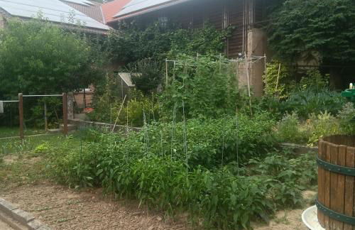 Weingut Jürgen - Lutz - Foto 13