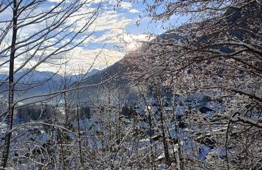 Alexander Lodge - Foto 23