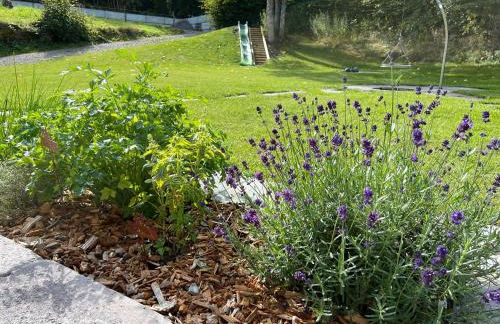 Biobetrieb Lippenhof - Foto 43