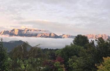 Ferienwohnungen beim Silbergersee - Foto 14