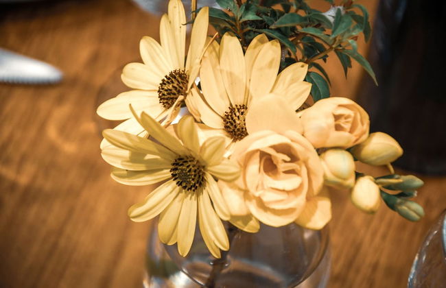 Dawn Chorus Holidays - Foto 25