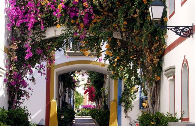 Charming 1 Bedroom Apartment in Puerto de Mogán - Photo 1