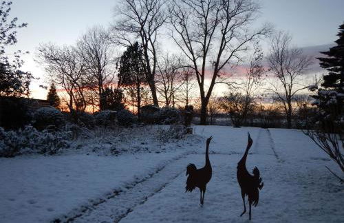 Ferienhaus Scholien - Foto 57