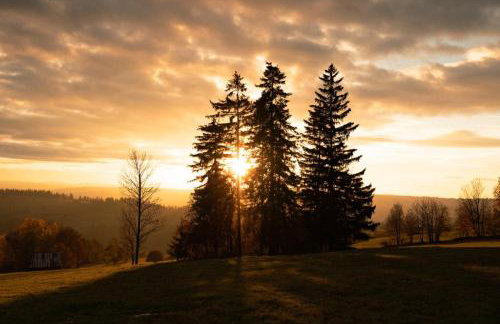 Panorama Chalet - Foto 65