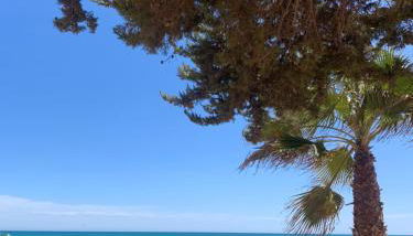 Cabo Cervera Sea View - Foto 5