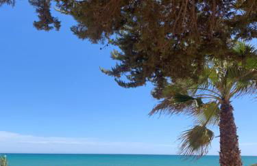 Cabo Cervera Sea View - Foto 5