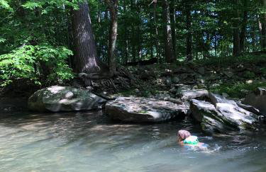 WOODSTOCK HISTORIC ARTIST ESTATE - THE MUSEUM HOUSE - Foto 42