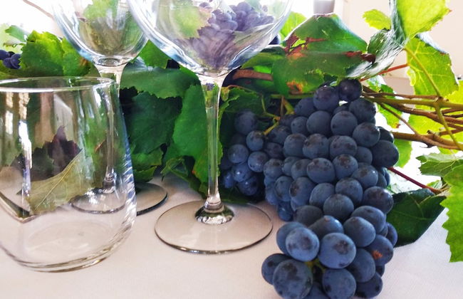 Il Podere di Marfisa - Foto 46