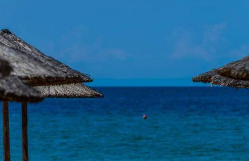 Flogita Dream - Foto 30