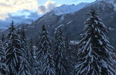 Al Bait Del Legn 1 - Foto 16