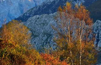 Apartamentos La Cueva - Onis - Photo 19