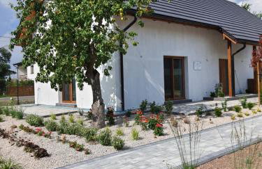 Osada Ostrowsko - Foto 20