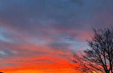 Gitti's Ferienwohnung - Foto 6