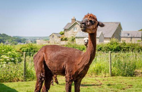 2 Bed in Whitwell oc-r33497 - Foto 21