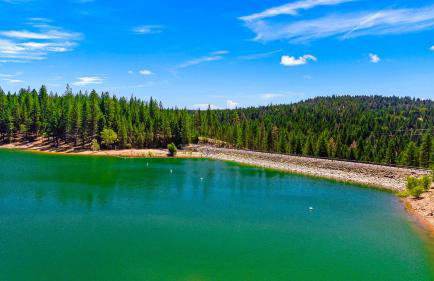 Home in the Pines - Apple Hill - Dog Friendly - Snow Nearby - Foto 40