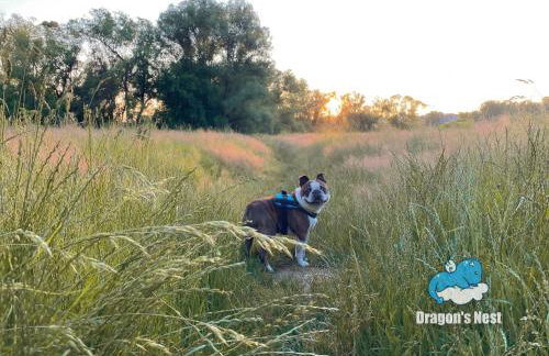 Dragon’s Nest: Cozy & modern attic loft Nuremberg - Foto 82