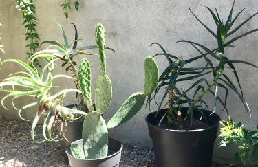 Dans une maison, appartement indépendant et jardin - Foto 22