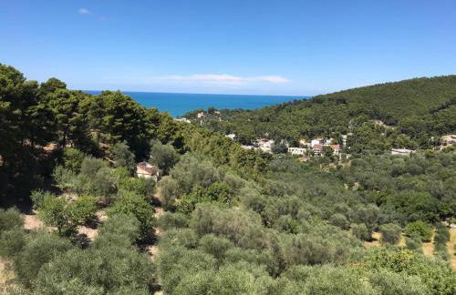 VILLA PINETA VISTA MARE - Foto 45