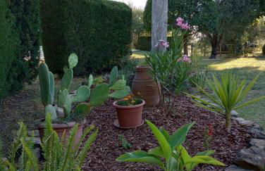 Eclissi casa vacanza SOLE - Foto 30