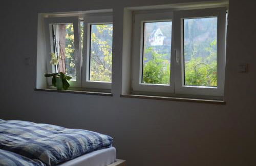 Panorama-Blick Miltenberg, 3 Pers., zentr., am Main, Terrasse, Bootverleih, P - Foto 15