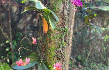 Vila Paramita - Foto 40