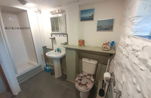 Horseshoe Cottage Aberaeron - Foto 11